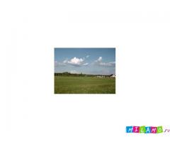 Риэлторские услуги почти даром