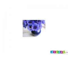 Ромашки экстракт житкий