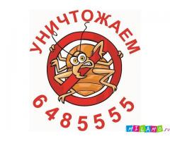 Уничтожение клопов, их дезинсекция, борьба с клопами.