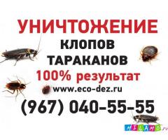 Уничтожение клопов и других насекомых.