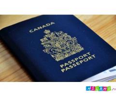 Паспорт Польши. Паспорт Канады. Гражданство ЕС.