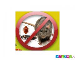 Качественное уничтожение клопов, тараканов, крыс.