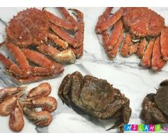 Ищу партнеров в регионах. Сфера морепродуктов оптом.