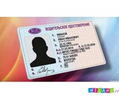 Официальное водительское удостоверение, категории A, B, C, D