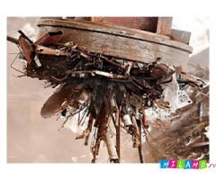 Как и где возможно сдать металлолом на привлекательных условиях?